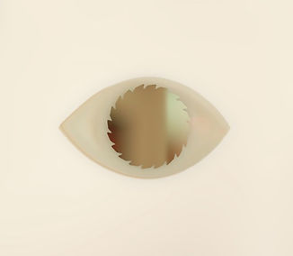 "Eyesaw" 400 x 200mm Diameter Sandblasted Mirror
